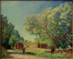 Autour de la forêt