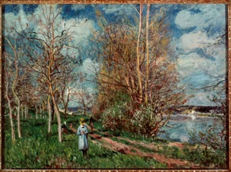 Les petites prairies au printemps