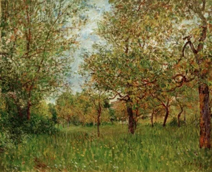 Petite prairie à By