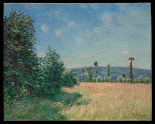 Les prairies de Sahurs au soleil du matin