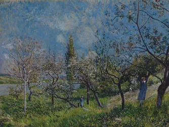 Un verger au printemps