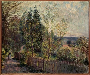 Chemin forestier