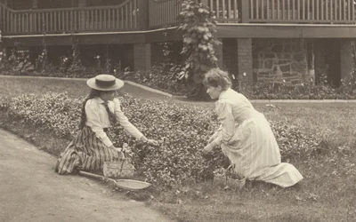 Un parterre de fleurs à Oaklawn