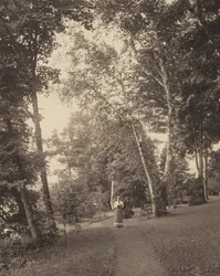 Sentier de Hedwig, Oaklawn, lac George