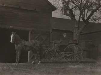 Cheval et calèche