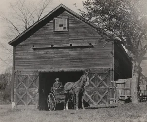 Cheval et voiture