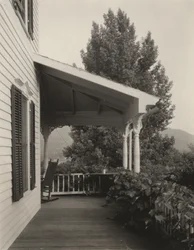 Maison, feuilles et arbre