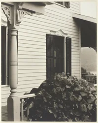 Maison et feuilles de vigne