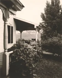 Maison et feuilles de vigne