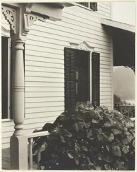 Maison et feuilles de vigne
