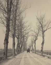 Jours de novembre