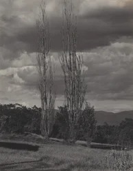 Poplars — Lac George