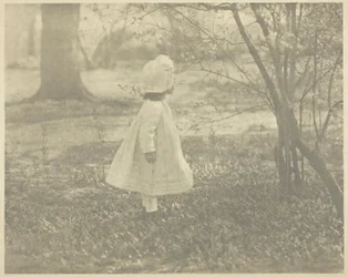 Printemps - L