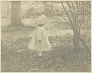 Printemps - L