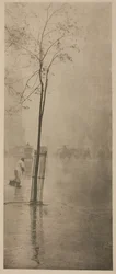 Averses de printemps