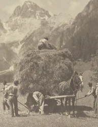 La dernière cargaison