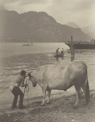 Le bain malgré soi