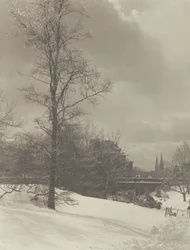 Hiver (Central Park)
