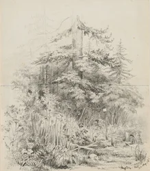 Lieu de sépulture indien, Oregon, 1841