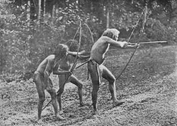 Veddahs ou Hommes sauvages, vers 1890, 1910