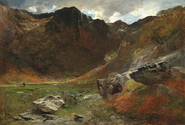 Un vallon marécageux de la nature