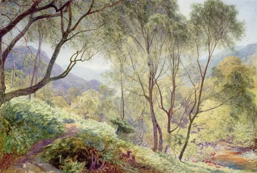 Ullswater depuis Gowbarrow Park, 1864