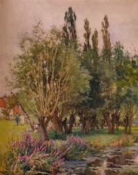 Salicaire, vers 1891