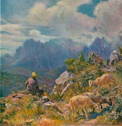 Pâturages dans les Alpes Apuanes