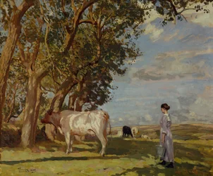 Matinées d