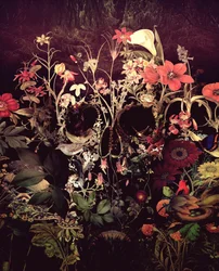 Crâne floral sombre
