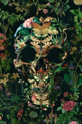Crâne de la nature sombre