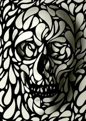 Formes de crânes dans l