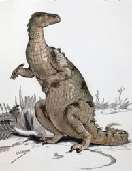 Iguanodon