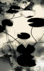 Ombres de poussière d