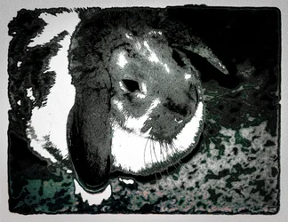 Rabbit Habbits, 2022 (photographie repeinte)