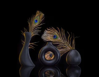Élégante nature morte au paon