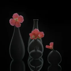 Vases floraux minimalistes