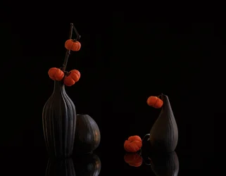 Citrouilles orange, vases sombres