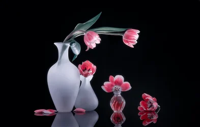 Nature morte avec tulipes roses