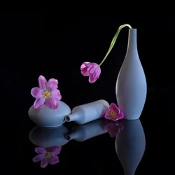 Tulipes violettes reflétées