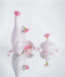 Sereins vases roses