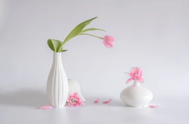 Délicate composition de tulipes roses