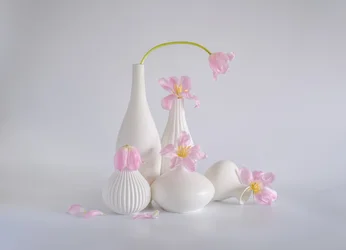 Nature morte aux tulipes rose tendre