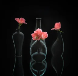 Nature morte 45