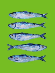 Sardines bleues fraîches
