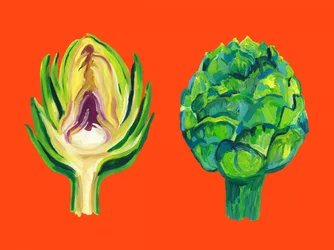 Artichauts verts frais