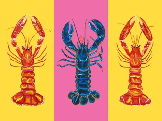 Lobster Langoustines Pop Art 2