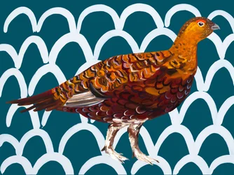 Motif de lagopède d