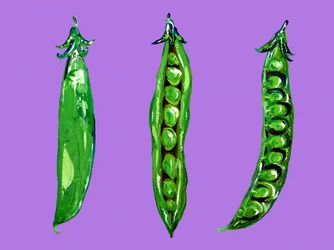 Pois verts éclatants