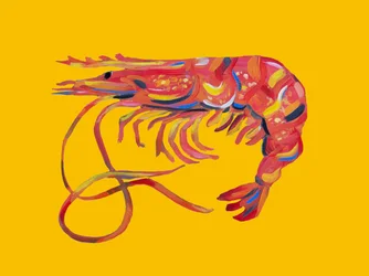 Crevette rouge vif
